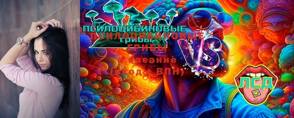 метадон Россошь